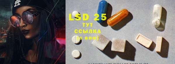 a pvp Магас