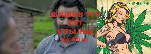 шишки Братск